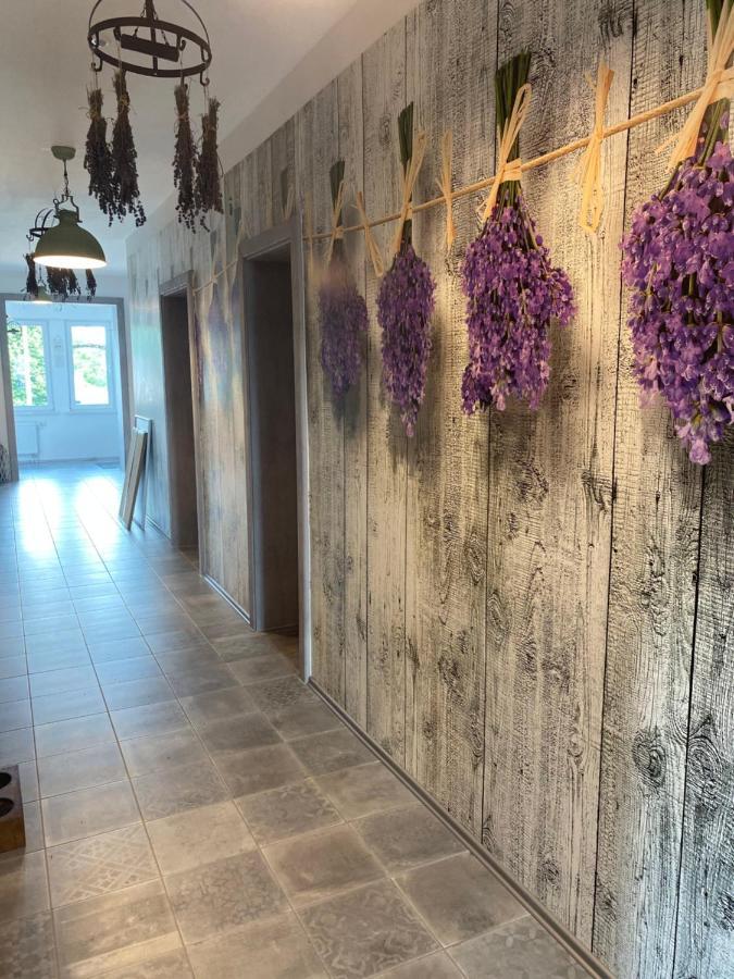 La Maison Pritzwalk - Bett & Bike Екстер'єр фото